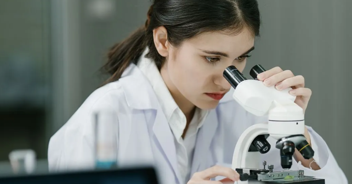 The Year in Research